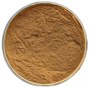Semen Platycladi’s Lipid-Soluble Compounds: Stability Analysis